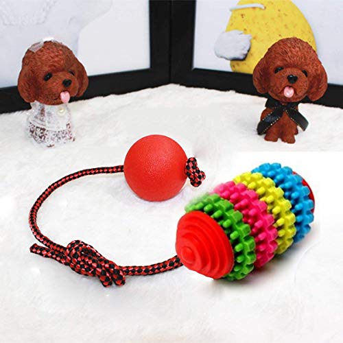 WENTS Pet Dog Chew Rope Toys Set Dog Toys Puppy Teeth Cleaning Training Toy Durable Pet Puppy Rope Chew Toy Set Regalos Dentición Cuerda Juguete para Perros Pequeños, Medianos y Grandes