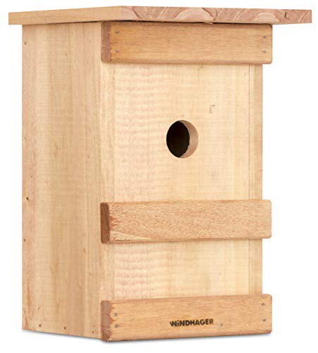 Windhager Caja pájaros Birdy, Incubadora, Ayuda para el Nido de Aves, 06925, Nature