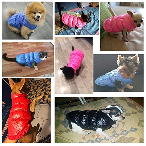 Winter Dog Clothes for Dogs Large Clothing Waterproof Clothes For Small Dog Thickening Pet Dog Coat Jacket Puppy Chihuahua 21 A1,Black Pet Clothes,S