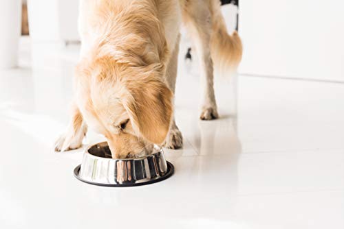 Wonderdog Sneyd's Premium - Salmón hipoalergénico y arroz con ayuda de articulación, 15 kg