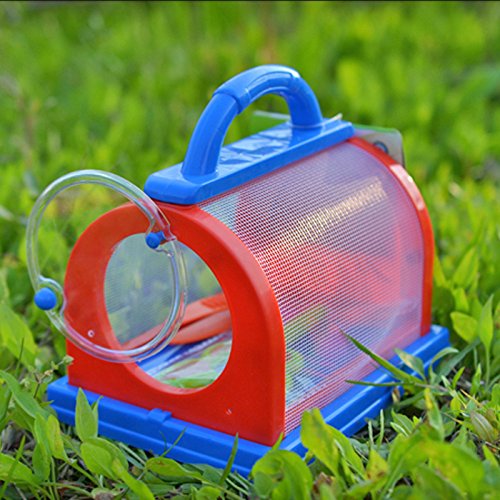 Wpond Caja de Almacenamiento para Insectos, terrario, Pinzas, Mariposas, Gusanos de Seda, Firefly Grasshopper Kindergarten Outdoor Experiment