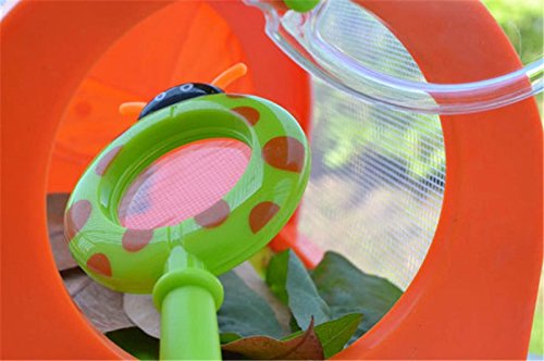 Wpond Caja de Almacenamiento para Insectos, terrario, Pinzas, Mariposas, Gusanos de Seda, Firefly Grasshopper Kindergarten Outdoor Experiment