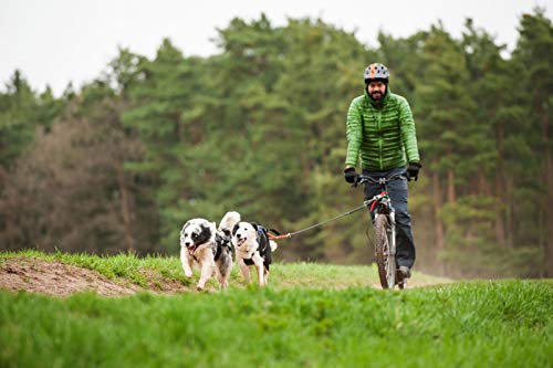 X-Back Arnés para perro para ciclismo, esquí o trineo, en rojo