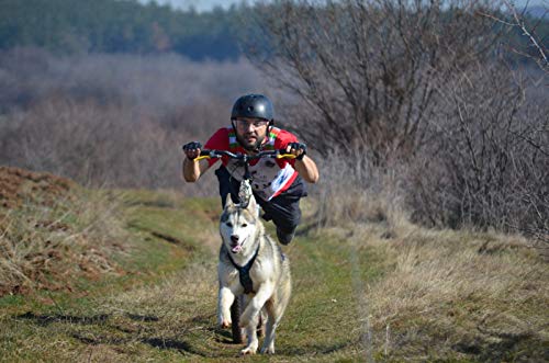 X-Back Arnés para perro para ciclismo, esquí o trineo, en rojo