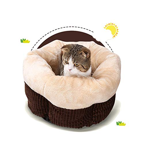 XHPWW Gato y Perro Cama Cojín Cama Kennel Pet Nest, Invierno cálido Teddy Kennel Cat Saco de Dormir Kitten House Beige-M
