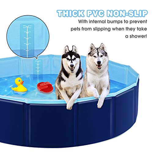 YAOBLUESEA Piscina para Perros, Plegable PVC Piscina Bañera para Gatos Animales Bebes Grandes, Adecuado para Interior y Exterior (160x30cm)
