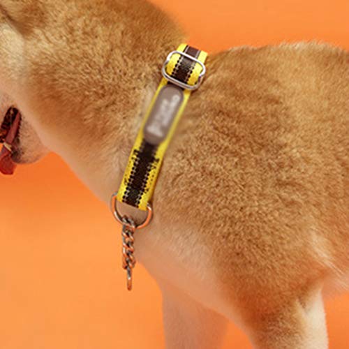 Yijinstyle Ligero Bonita Correa & Collar para Perro Collares para Perros Enganche Correas de Mascotas Cómodo (Negro#1, Asia L)