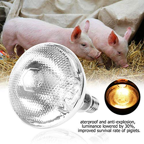 YOUTHINK Pig Piglet Lámpara de Calor Gruesa Bombilla Impermeable a Prueba de explosiones Superficie de Punto(245W)