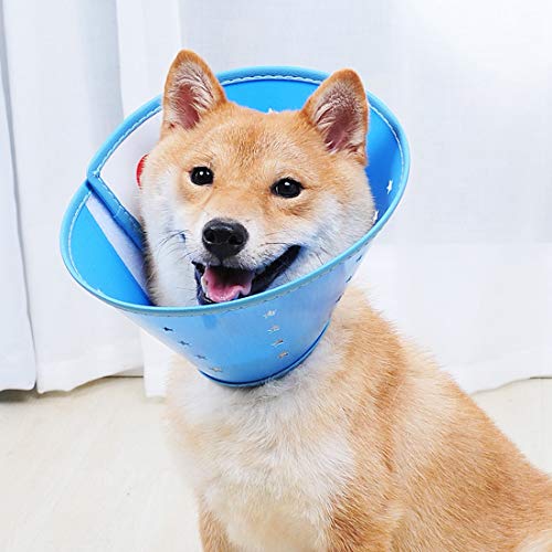 Yuer Dog Elizabeth Anillo de plástico para mascotas Tocado antimordedura anillo de lamer heridas suministros de protección, plástico, azul, Medium