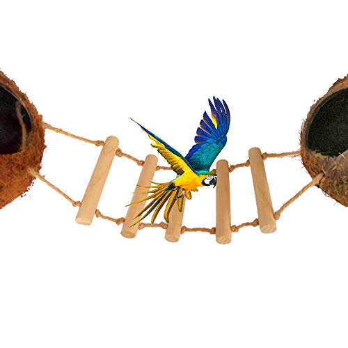 Yunhigh Concha de Coco Casa para pájaros con Escalera de Madera Nido de pájaro Puente Colgante Nido de reproducción Natural para Loro pequeño Juguete de Columpio de Ardilla