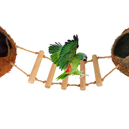 Yunhigh Concha de Coco Casa para pájaros con Escalera de Madera Nido de pájaro Puente Colgante Nido de reproducción Natural para Loro pequeño Juguete de Columpio de Ardilla