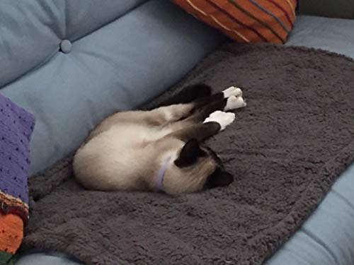 ZHER-LU Manta para mascotas Fluffy Plush Pad Flannel Mat Soft Warm, para gatos Perros Cachorro