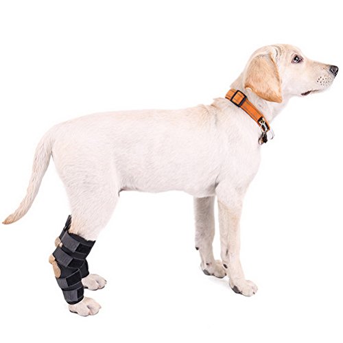 Zunea Dog Canine - Juego de 2 Protectores para la Pierna Trasera y Soporte Extra para la articulación de la Pierna y la Artritis