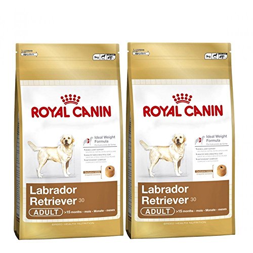 2 x 12 kg Royal Canin Labrador Retriever 30 Multi-Buy Adulto comida para perro