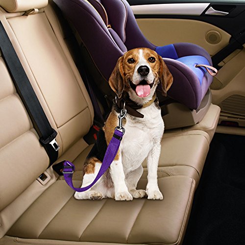 4 Pack cinturón de seguridad ajustable perro de mascota gato, yucool seguridad Leads vehículo coche arnés asiento Tether, nailon textil negro, azul, rojo, morado
