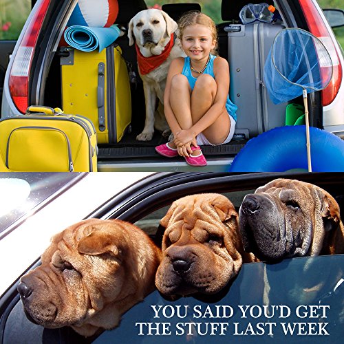 4 Pack cinturón de seguridad ajustable perro de mascota gato, yucool seguridad Leads vehículo coche arnés asiento Tether, nailon textil negro, azul, rojo, morado