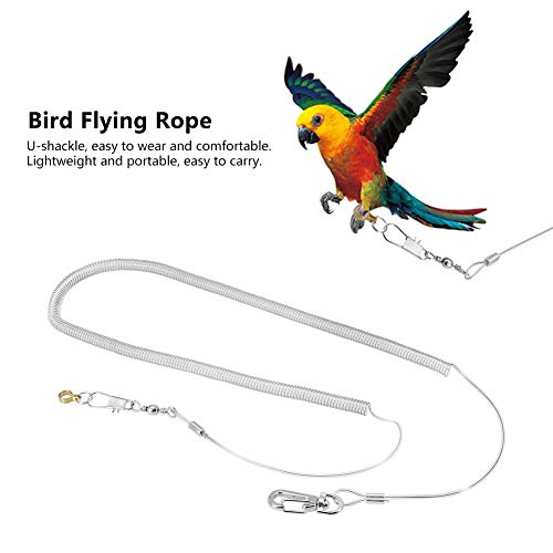 6M Parrot Bird Anti-Bite Flying Training Cuerda Kits De Correas para Agapornis Fischeri Cockatiels Starling Birds (Color Aleatorio)(6.5MM+6M)