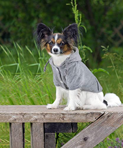 Abrigo Idepet con capucha para perros o gatos, hecho de algodón, para perros pequeños, cachorros, chihuahua u osos de peluche