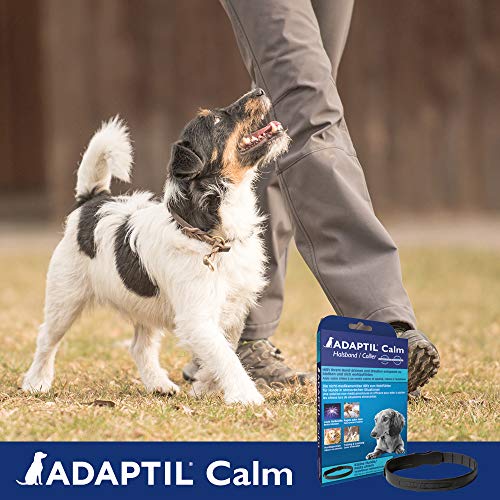 ADAPTIL Calm - Antiestrés para perros - Miedos, Ruidos Fuertes, Aprendizaje, Adopción - Collar S para Perros Pequeños