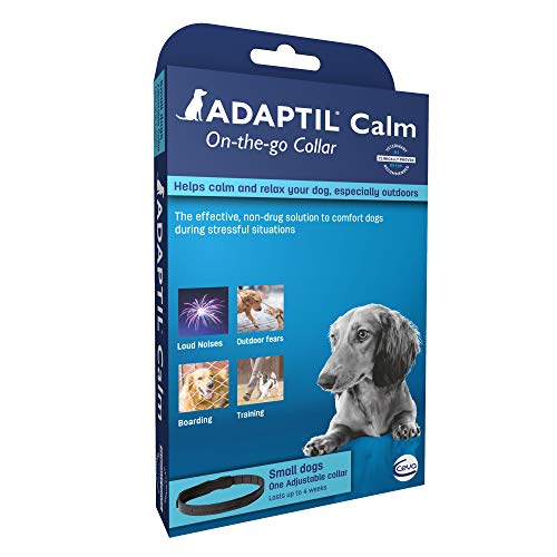Adaptil Collar, D.A.P (feromonas de apelación para Perros) para Perros medianos y Grandes – 24.5 Pulgadas