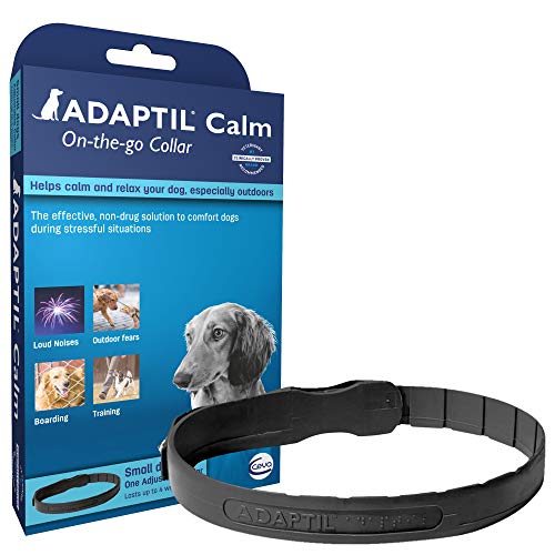 Adaptil Collar, D.A.P (feromonas de apelación para Perros) para Perros medianos y Grandes – 24.5 Pulgadas