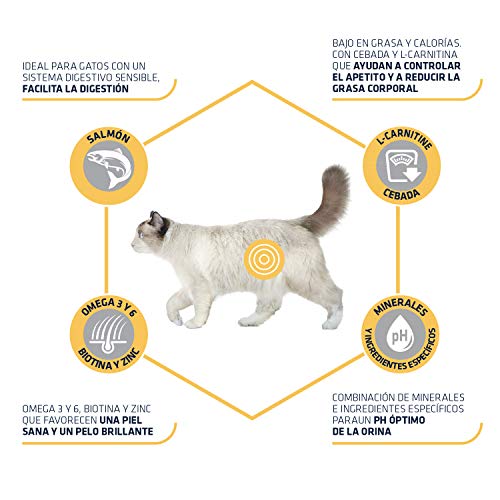 Advance Advance Sensitive Pienso para Gato Esterilizado Adulto con Salmón - 10000 gr