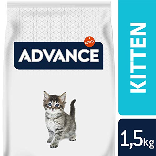 Advance Kitten - Pienso para Gatitos - 1.5 kg