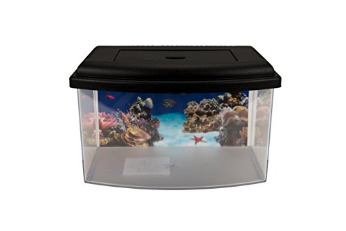 Aimé Aquarium Plastic Aquarium - 1 Unidad, colores surtidos