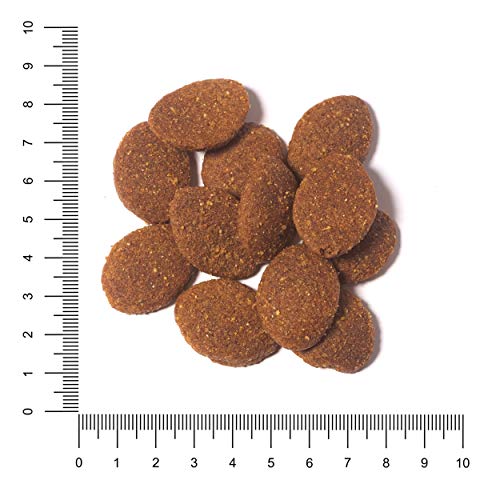 Alimento seco para perros adultos de razas grandes y gigantes, indicado para la salud de las articulaciones, 14 kg