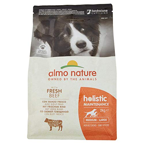almo nature Dog Dry PFC Holistic Adult Buey Razas Medianas