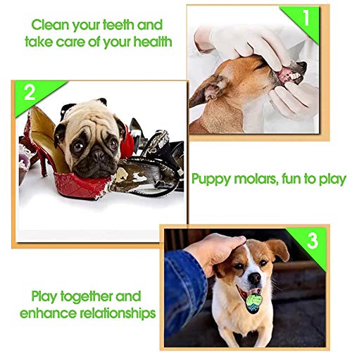 AMAYGA (8 Piezas) Cuerda de Juguete para Masticar para Perros, Juguetes de dentición,Juguetes para Perros pequeños a medianos,Juego de Juguetes para Perros Herramientas de Entrenamiento