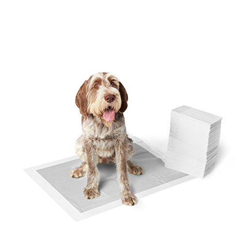 AmazonBasics - Empapadores de adiestramiento para perros, carbón, extragrande, 50 unidades