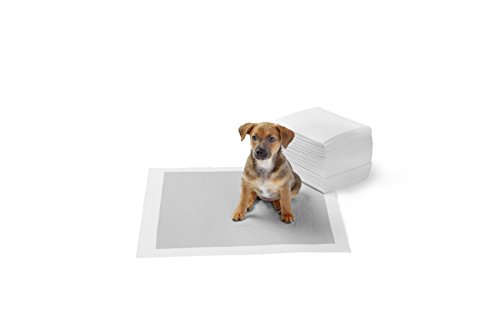AmazonBasics - Empapadores de adiestramiento para perros, carbón, normal, 40 unidades