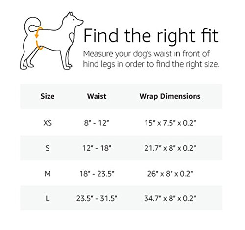 AmazonBasics - Pañal desechable para perro macho, XS, paquete de 30 unidades
