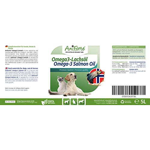 AniForte Aceite de salmón 5 Litros para Perros, Gatos y Caballos. Ácidos grasos Omega 3. Producto puro y Natural. Ideal como complemento alimenticio diario. Suplemento BARF.