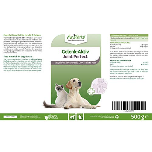 AniForte Garra del diablo en polvo para perros y gatos 500g - producto 100% natural para articulaciones, tendones y ligamentos. Ayuda a la movilidad y a la función articular, de alta aceptación
