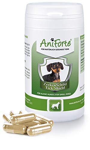 AniForte Thick Shield para Perros (hasta 10 kg) 60 cápsulas. Producto 100% natural. Complejo de Vitamina B que Actúa como Escudo Anti-Garrapatas y Parásitos.