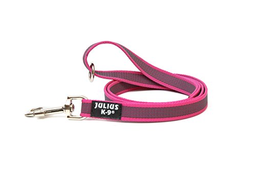 Arnés para cinturón de seguridad JULIUS-K9 y Correa para Perro, con Mango y Junta Tórica - color rosa - talla: 2