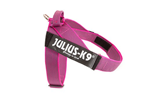 Arnés para cinturón de seguridad JULIUS-K9 y Correa para Perro, con Mango y Junta Tórica - color rosa - talla: 2