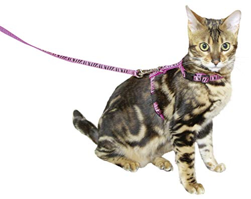 Arnés para gatos con correa 120 cm x 10 mm, rosa