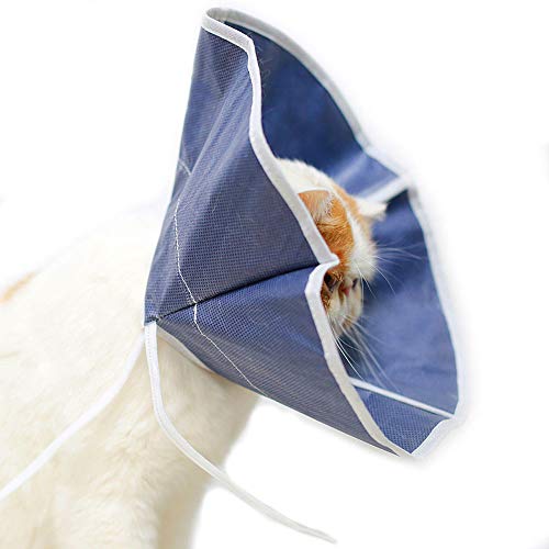 ASOCEA - Collar de recuperación ajustable para perros y gatos con cono, suave y cómodo, para la curación, de mascota, para perros y gatos para la medicación para el cuidado de la herida y la curación