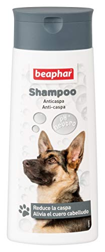 Beaphar BEA10656 Champú Perros Anticaspa - 250 ml