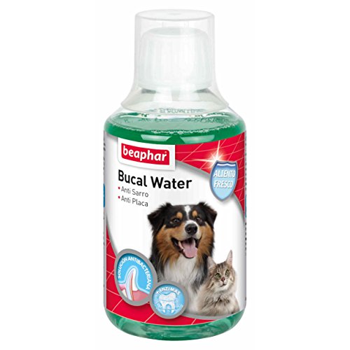 Beaphar - Bucal Water, 250 ml