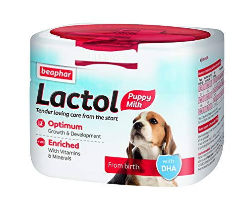 Beaphar Lactol - Cachorro (250 g)