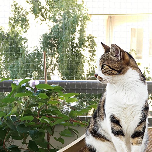 Bella & Balu Red para gatos (transp | 10 x 4) Incl. gancho, tacos, cuerda e instrucciones – Red de protección para gato transparente para balcones, terrazas, ventanas y puertas