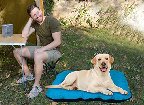 BEST DIRECT Dog Bed Visto en TV Cama para Perro Cojín Tamaño Grande Acolchado Suave e Impermeable para el Hogar y el Exterior Fácil de Lavar - Talla M 70 x 46 cm