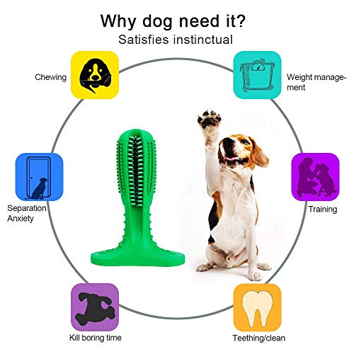 Bogeer Cepillo de Dientes para Perros Dog Brushing Stick Limpieza de higiene Dental Cuidado Oral para Mascotas Juguete para Masticar Regalo de Amante de los Animales no tóxica verde