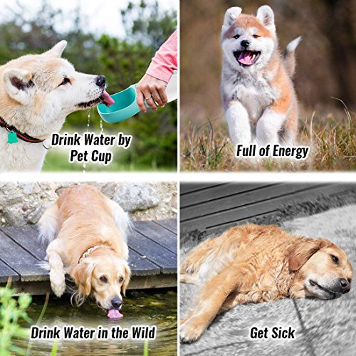 Botella de Agua para Perro, Botella Portátil de agua Potable para Mascotas al Aire Libre, Resina Plástica ABS Ambiental (Azul)