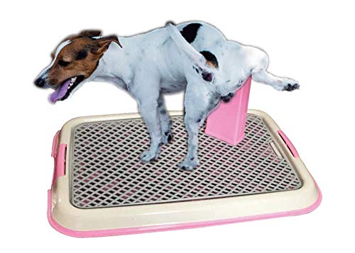 BPS Bandeja Sanitaria de Adiestramiento Inodoro Interior para Perros Aseo Mascotas Plástico 2 Tamaños M/L Color al Azar (M: 49 x 36 x 3 cm) BPS-5703