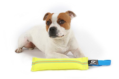 Bull Fit mordedor perro, 30 cm - Embutido de manguera, K9 dummy y motivador canino resistente y duradero - juguetes para perros de entrenamiento